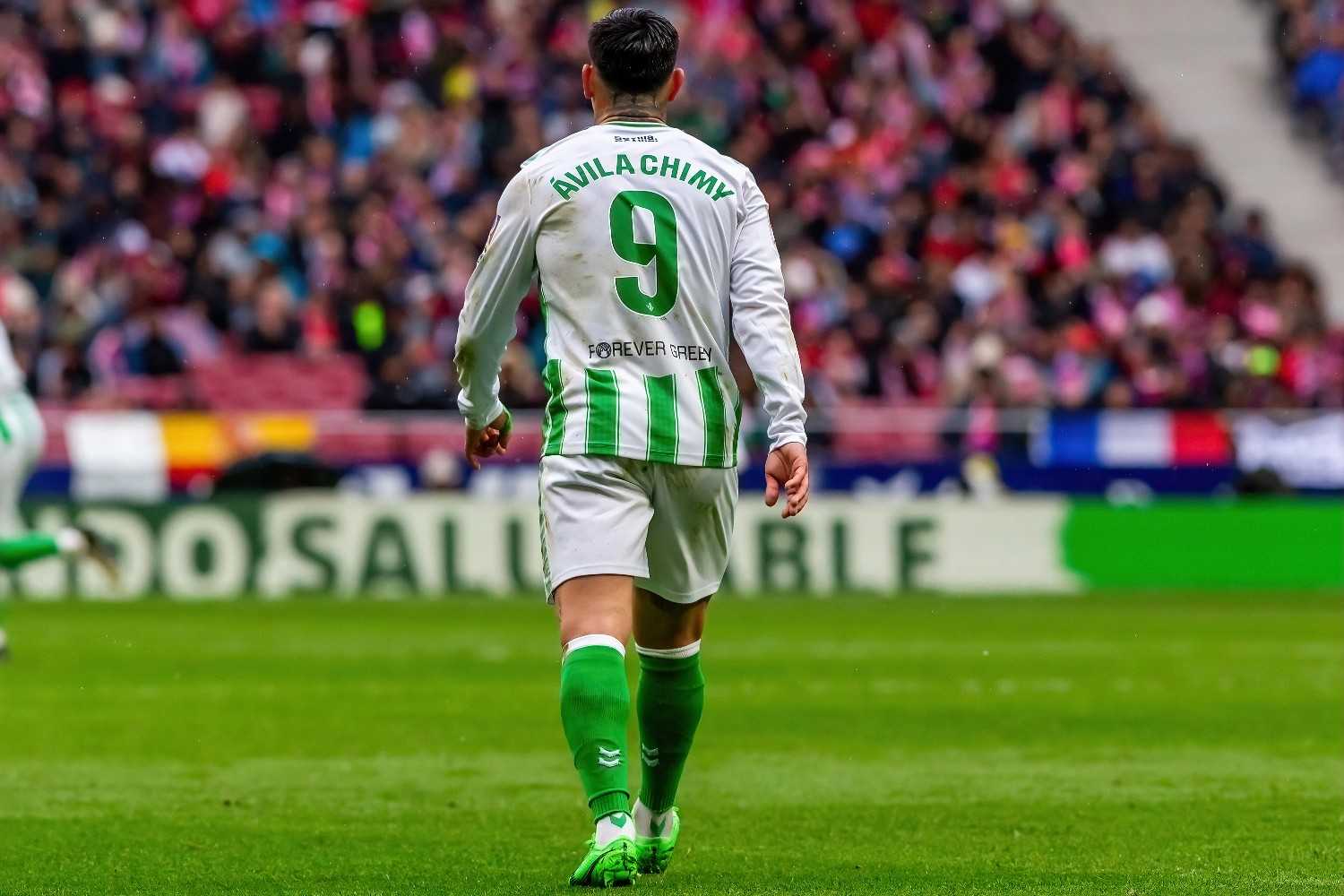 RealBetis1.jpg